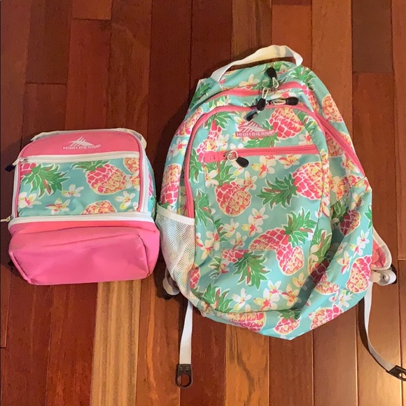 high sierra pineapple backpack